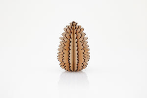 Pinecone